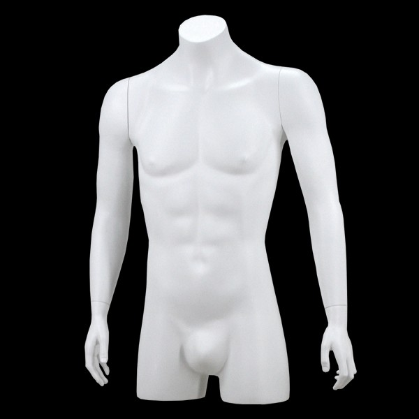 Buste homme blanc avec bras